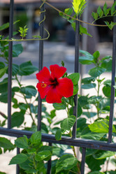 Similar image 21946632