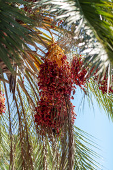 Similar image 21946634