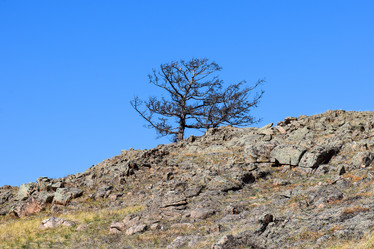 Similar image 21946638