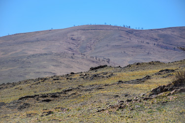 Similar image 21946640