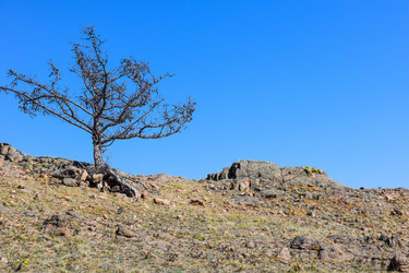 Similar image 21946641