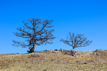 Similar image 21946642