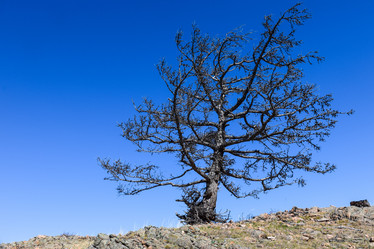 Similar image 21946643