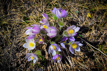 Similar image 21946646