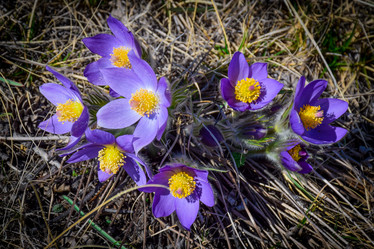 Similar image 21946647