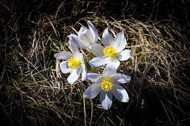 Similar image 21946648