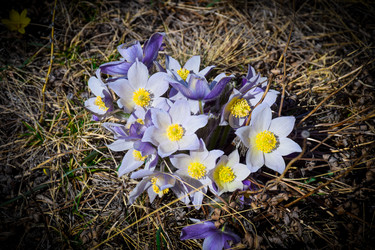 Similar image 21946649