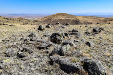 Similar image 21946650