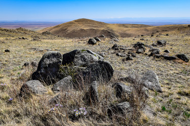 Similar image 21946651