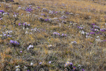 Similar image 21946654