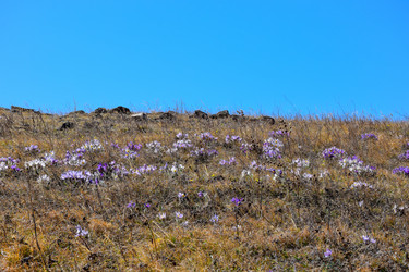 Similar image 21946655