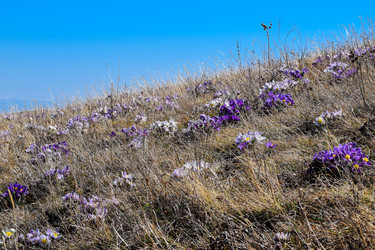 Similar image 21946656