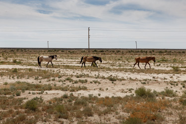 Similar image 21946847