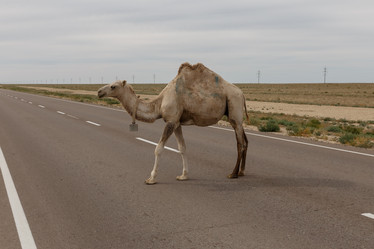 Similar image 21946851