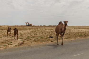 Similar image 21946852