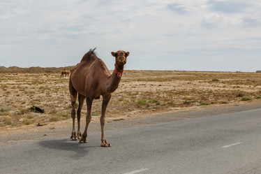 Similar image 21946853