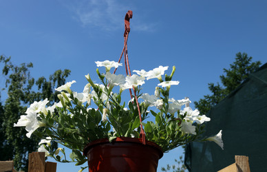 Similar image 21948510