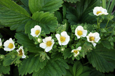 Similar image 21948511