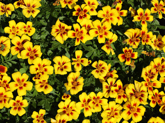 Similar image 21948516