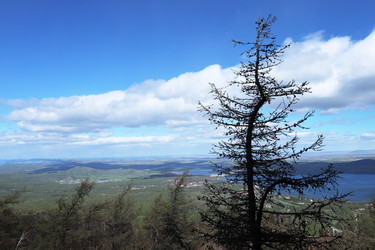 Similar image 21948518