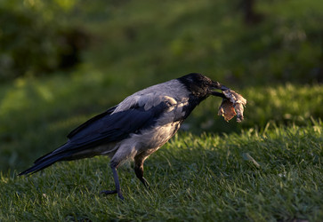 Similar image 21948345