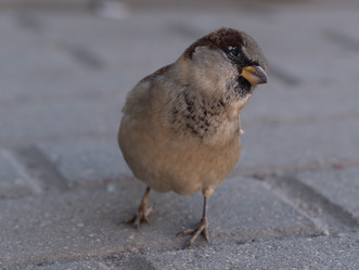 Similar image 21948346