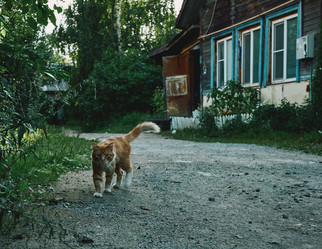 Similar image 21948347