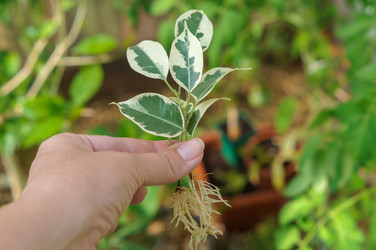 Similar image 21948392