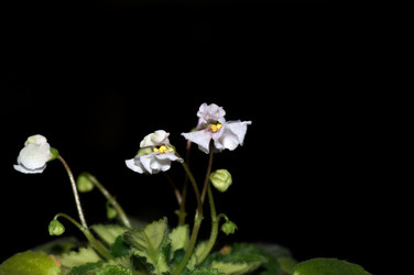 Similar image 21948393