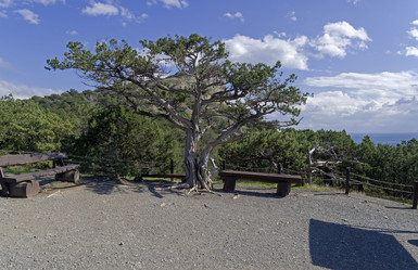 Similar image 21948351