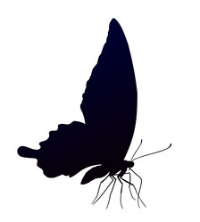 Similar image 21948394