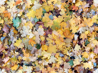 Similar image 21948395