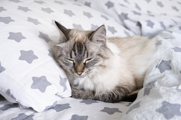 Similar image 21948624