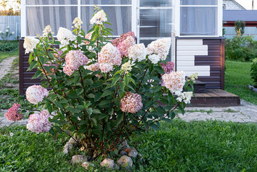 Similar image 21948625