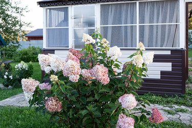 Similar image 21948627