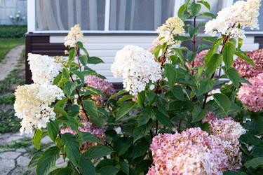 Similar image 21948628