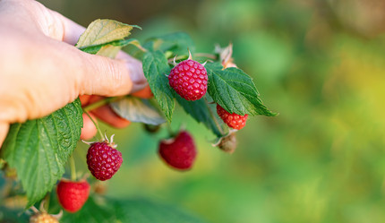 Similar image 21948629