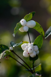 Similar image 21948631