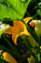 Similar image 21948632