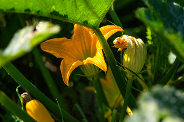 Similar image 21948633