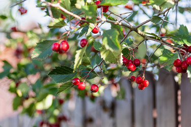 Similar image 21948635