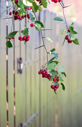 Similar image 21948636