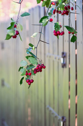 Similar image 21948637