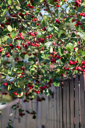 Similar image 21948638