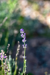 Similar image 21948639