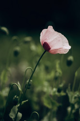 Similar image 21948642