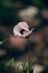 Similar image 21948643