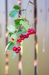 Similar image 21948644