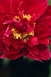 Similar image 21948645