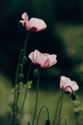 Similar image 21948646